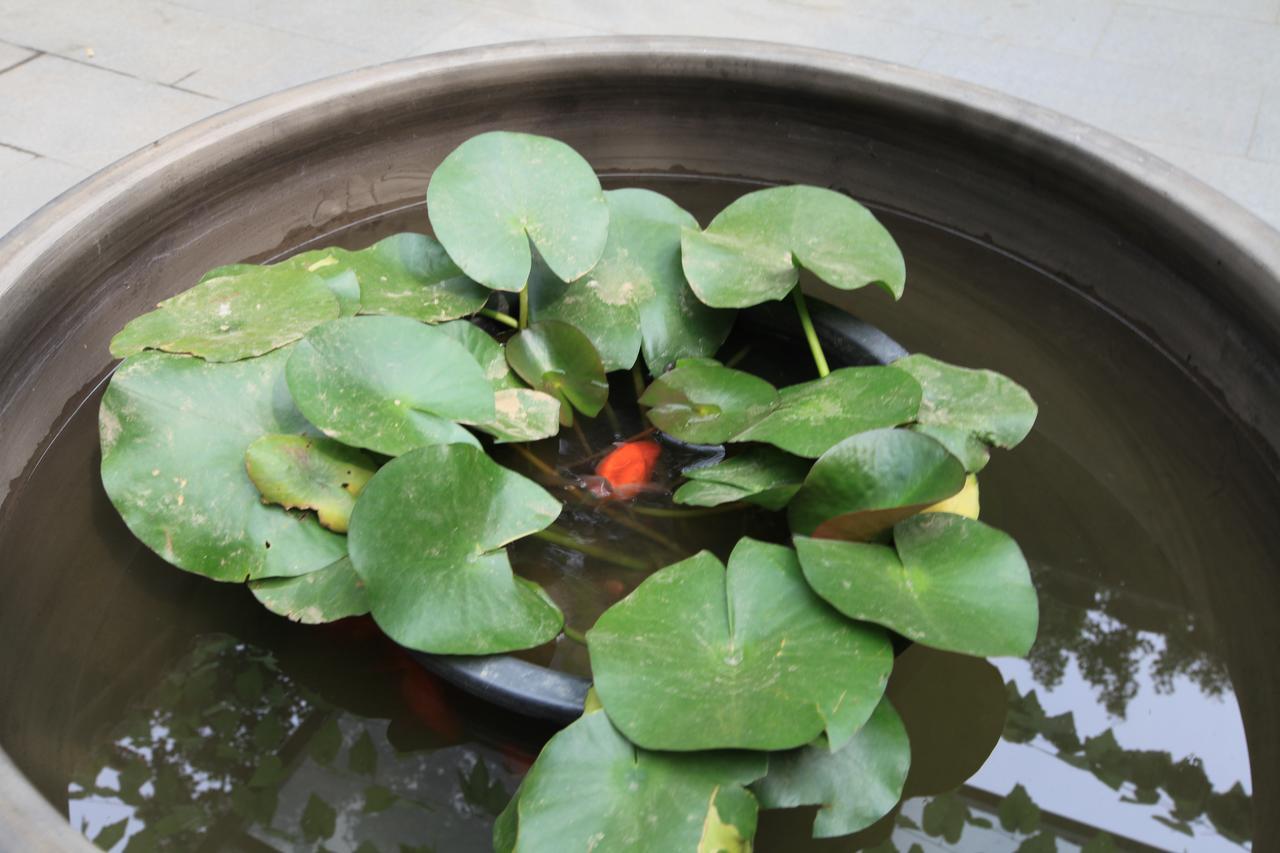 Zhantan Courtyard Hotel Pekin Dış mekan fotoğraf