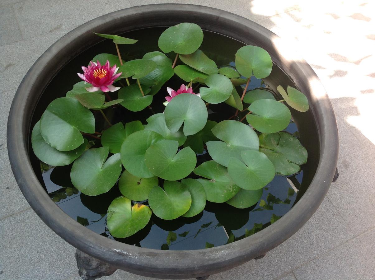 Zhantan Courtyard Hotel Pekin Dış mekan fotoğraf