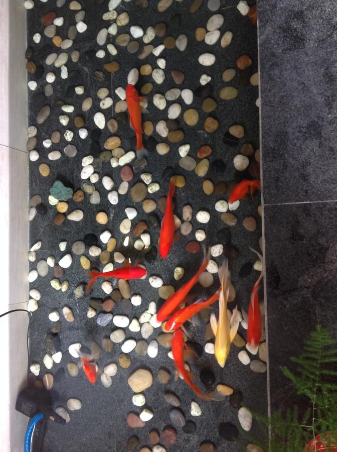 Zhantan Courtyard Hotel Pekin Dış mekan fotoğraf